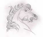 поднявшись  на  дыбы